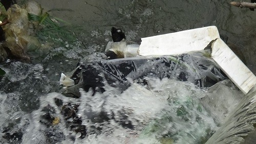 Rác thải 'bức tử' sông Ngàn Phố sau Tết Nguyên đán ảnh 6