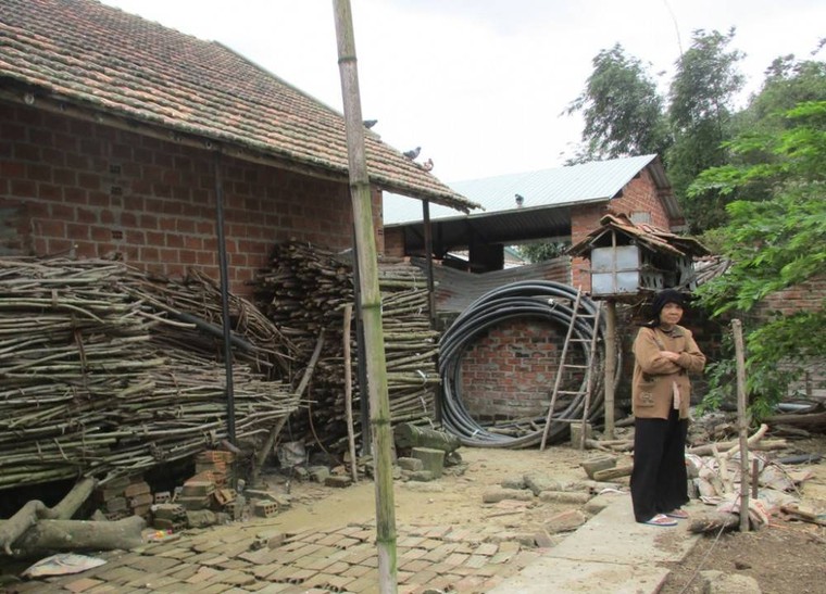 Bình Định: Dân sống gần bờ sông Côn lo lắng vì sông bị sạt lở nghiêm trọng ảnh 2