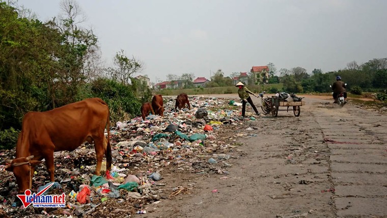 Vĩnh Phúc: Dân khổ sở vì bãi rác gây ô nhiễm ảnh 1