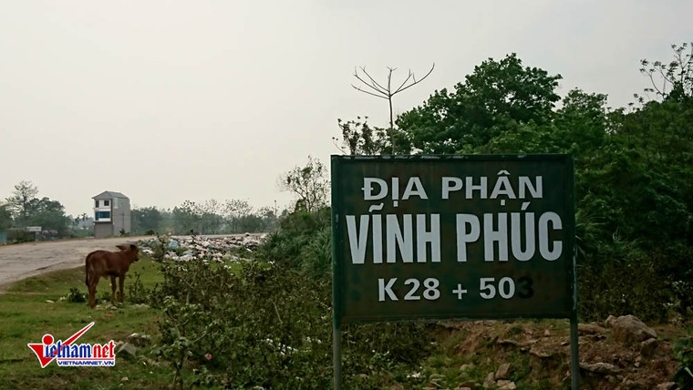 Vĩnh Phúc: Dân khổ sở vì bãi rác gây ô nhiễm ảnh 2