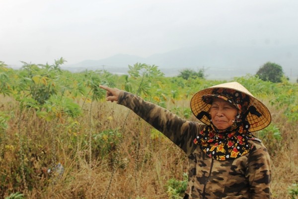 Khánh Hòa: Có lò đốt rác, bãi rác càng làm dân khổ hơn ảnh 1