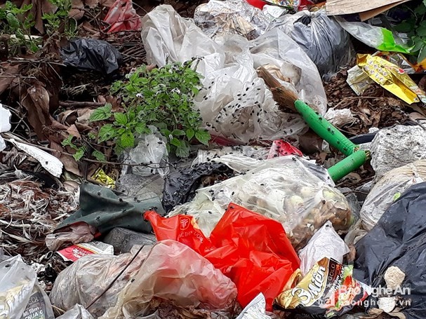 Người dân bị hành hạ bởi rác thải tràn ngập đường 8B ảnh 2