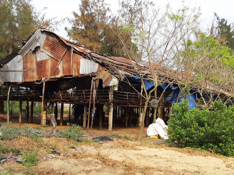 Quảng Nam: Nhiều khu dân cư sống chung với ô nhiễm ảnh 1