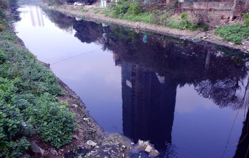 Nhuệ Giang đang ô nhiễm trầm trọng ảnh 1