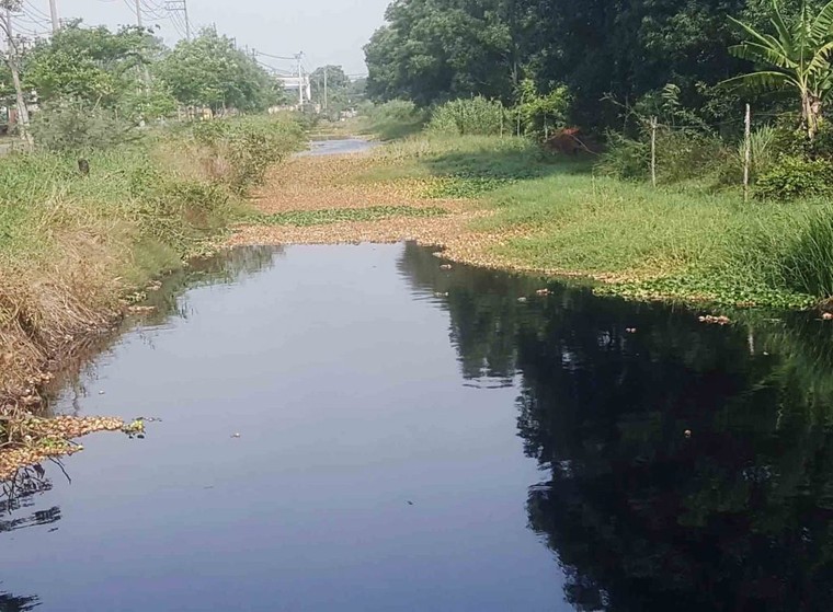 Tp.Hồ Chí Minh: Khu công nghiệp Lê Minh Xuân nhiều doanh nghiệp đang 'bức tử' môi trường ảnh 3