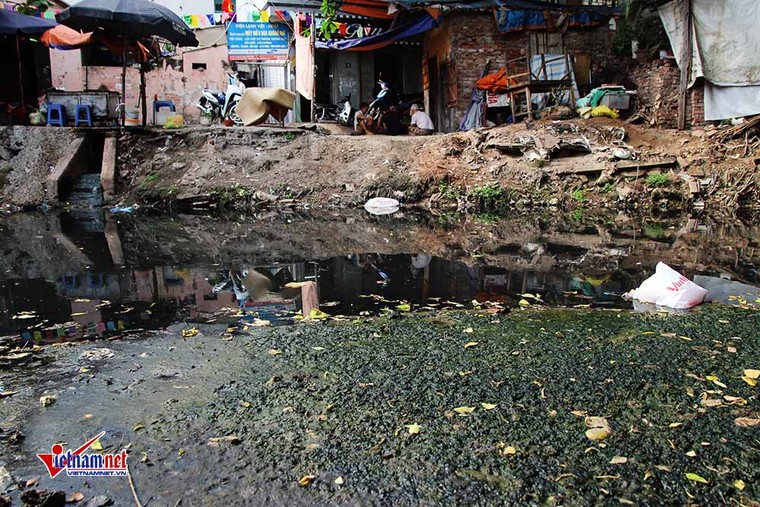 Hà Nội: Nghẹt thở sống cạnh khúc sông đặc quánh nước thải ảnh 2