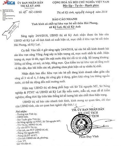 Tìm nguyên nhân hàng trăm kg cá, mực ở Vũng Áng chết ảnh 1