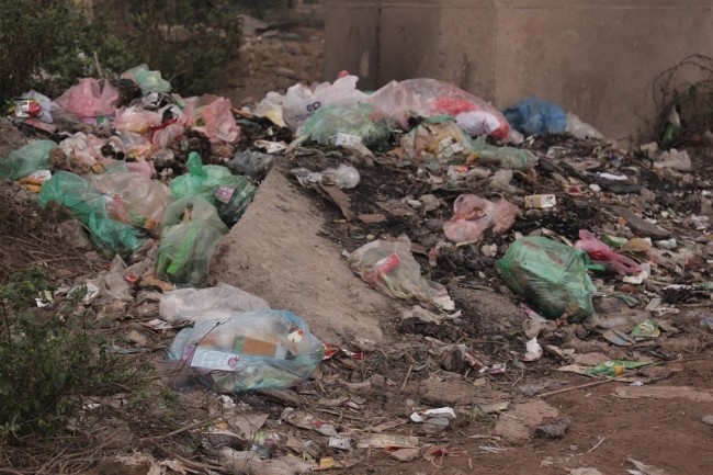 Cầu Thăng Long bị ‘bức tử’ vì rác thải ảnh 1