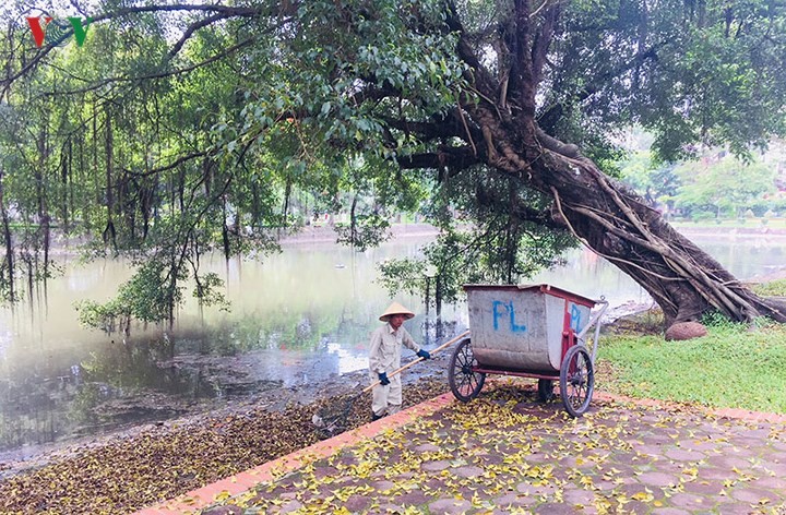 Sau mưa lớn, hồ Công viên Thống Nhất ngập rác thải ảnh 14