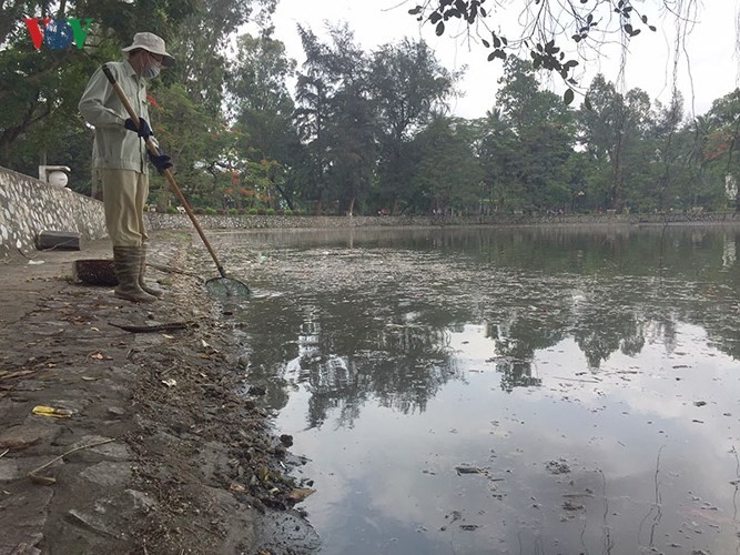 Sau mưa lớn, hồ Công viên Thống Nhất ngập rác thải ảnh 3