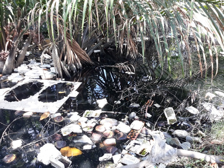 Dân than trời với con kênh ô nhiễm nặng giữa lòng TP.Cà Mau ảnh 1