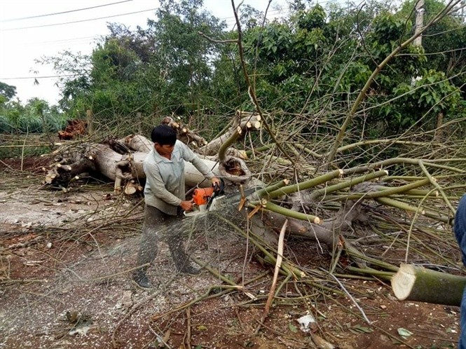 Mưa đá, lốc xoáy làm 48 nhà dân, nhà rông và trường học bị tốc mái ảnh 2