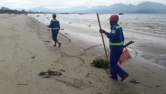 Đà Nẵng: Hơn 5km bờ biển Nguyễn Tất Thành bị rác thải bủa vây ảnh 1