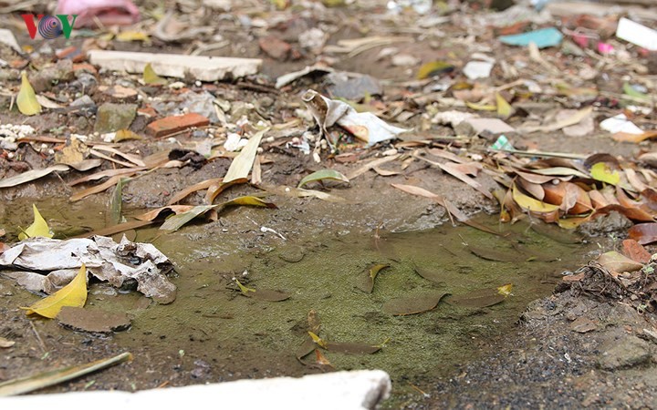 Môi trường sống ô nhiễm nặng, Hà Nội có nguy cơ bùng phát dịch bệnh ảnh 5