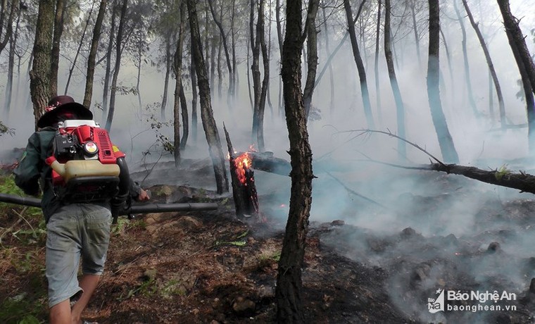 Cháy rừng lan từ Yên Thành sang Đô Lương, cả ngàn người dập lửa ảnh 2