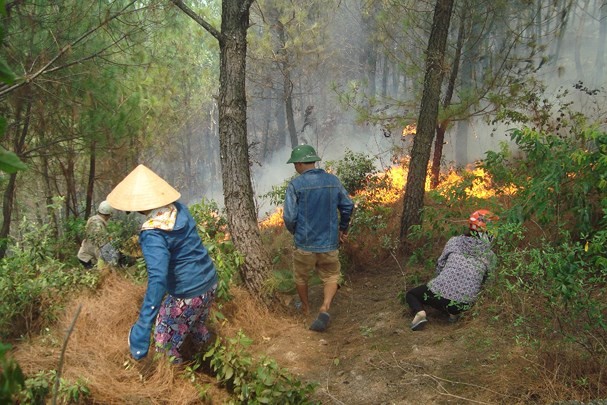 Cháy rừng lan từ Yên Thành sang Đô Lương, cả ngàn người dập lửa ảnh 4