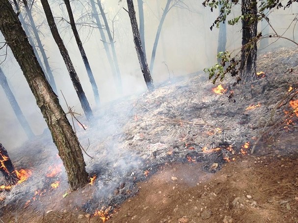 Cháy rừng lan từ Yên Thành sang Đô Lương, cả ngàn người dập lửa ảnh 5