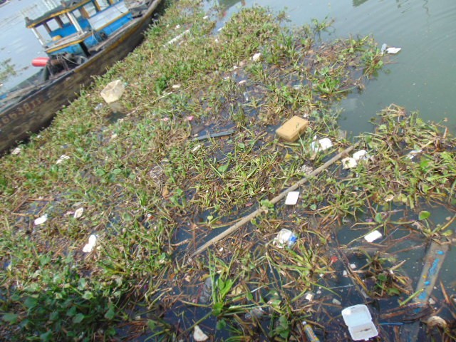 Đà Nẵng: Dòng sông Hàn ngập tràn bèo, rác thải ảnh 1