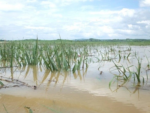Thanh Hóa: Nước sông Bưởi dâng cao nhấn chìm hàng trăm nhà cửa ảnh 2