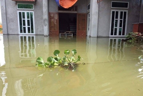 Nước ngập sâu, người dân Ninh Bình chèo thuyền đi lại ảnh 5