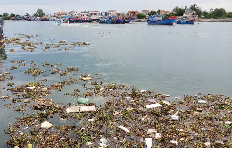 Quảng Ngãi: Rác thải ngập tràn cảng Sa Kỳ ảnh 3