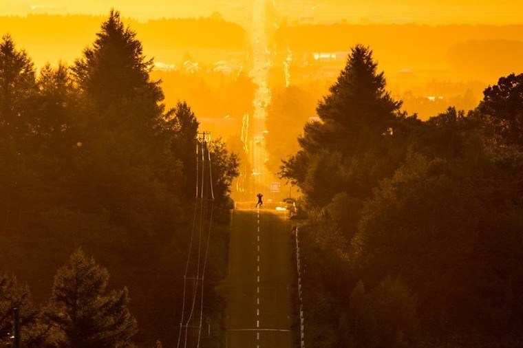 Xa lộ thẳng tắp được ví như đường đến thiên đàng ở Nhật ảnh 1