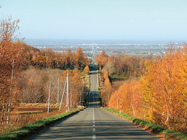 Xa lộ thẳng tắp được ví như đường đến thiên đàng ở Nhật ảnh 2