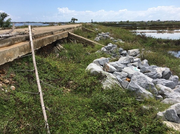 Quảng Bình: Đê Hữu Gianh xuống cấp nghiêm trọng ảnh 1