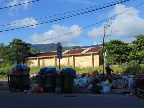 Đà Nẵng: Bãi rác lộ thiên trên đường Đinh Công Trứ, người dân khốn khổ ảnh 3