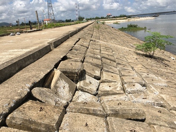 Quảng Bình: Đê Hữu Gianh xuống cấp nghiêm trọng ảnh 4