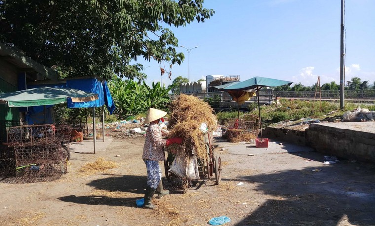 Thừa Thiên Huế: Bãi tập kết rác cạnh chợ An Lỗ ô nhiễm, dân 'kêu trời' ảnh 1