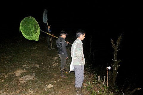 'Thợ săn' đốt lửa, dựng trại thức thâu đêm bẫy chim trời trên đỉnh núi ảnh 1