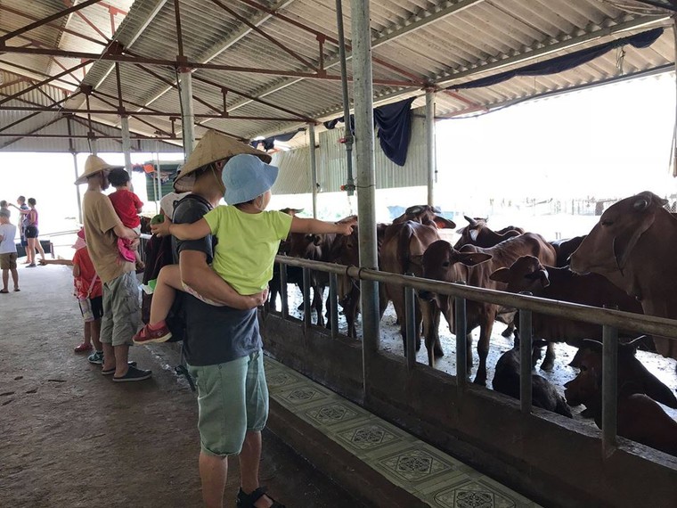 Khi trí thức về quê để làm… nông dân ảnh 2