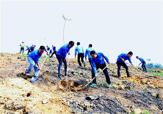 Tổng Bí thư, Chủ tịch nước phát động Tết trồng cây Xuân Kỷ Hợi 2019 ảnh 1