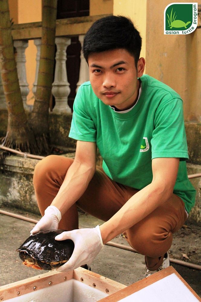 Hồng Kông bàn giao một cá thể rùa quý hiếm cho Việt Nam ảnh 2