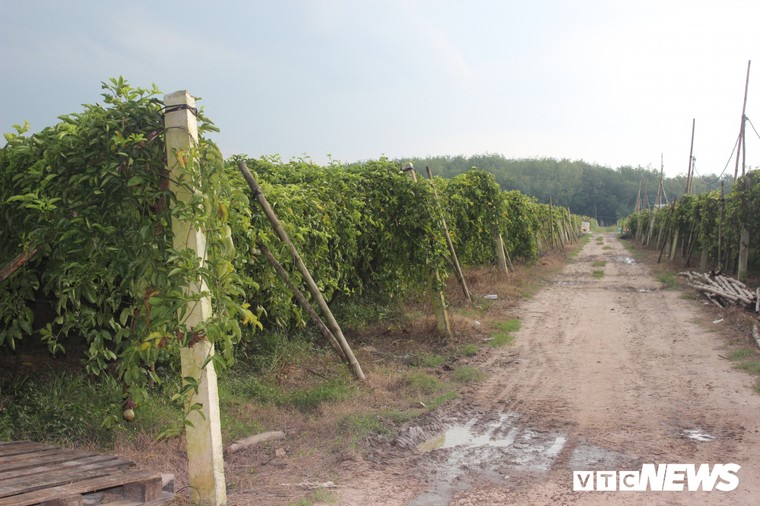 Điểm lại những sai phạm nghiêm trọng khiến nguyên Tổng Giám đốc Sagri Lê Tấn Hùng bị bắt ảnh 1