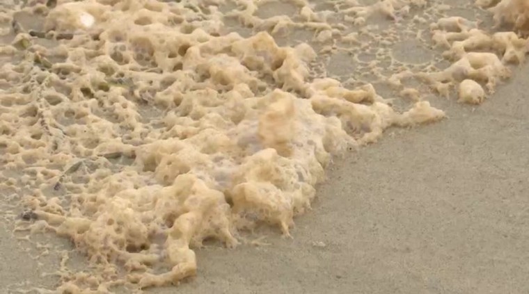 Kết luận vụ nước biển chuyển màu bất thường làm dân lo lắng ảnh 3