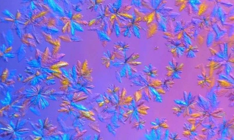 ‘Trái tim’ SARS-CoV-2 dưới hình ảnh giải phẫu 3 chiều ảnh 1