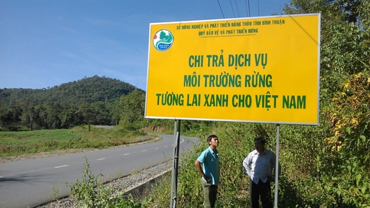 Việt Nam được hưởng lợi ích 'kép' của việc chuyển nhượng lượng giảm phát thải từ rừng ảnh 1