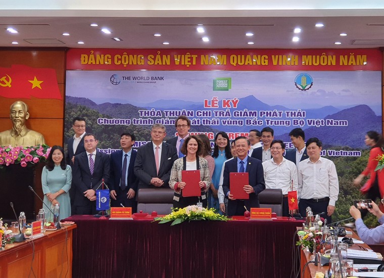 Việt Nam được hưởng lợi ích 'kép' của việc chuyển nhượng lượng giảm phát thải từ rừng ảnh 3