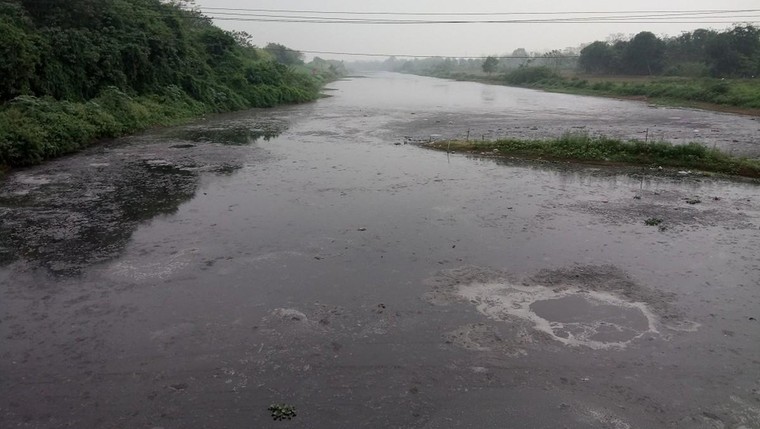 Sông Nhuệ-Đáy ô nhiễm: Cần phải làm rõ trách nhiệm người đứng đầu ảnh 1