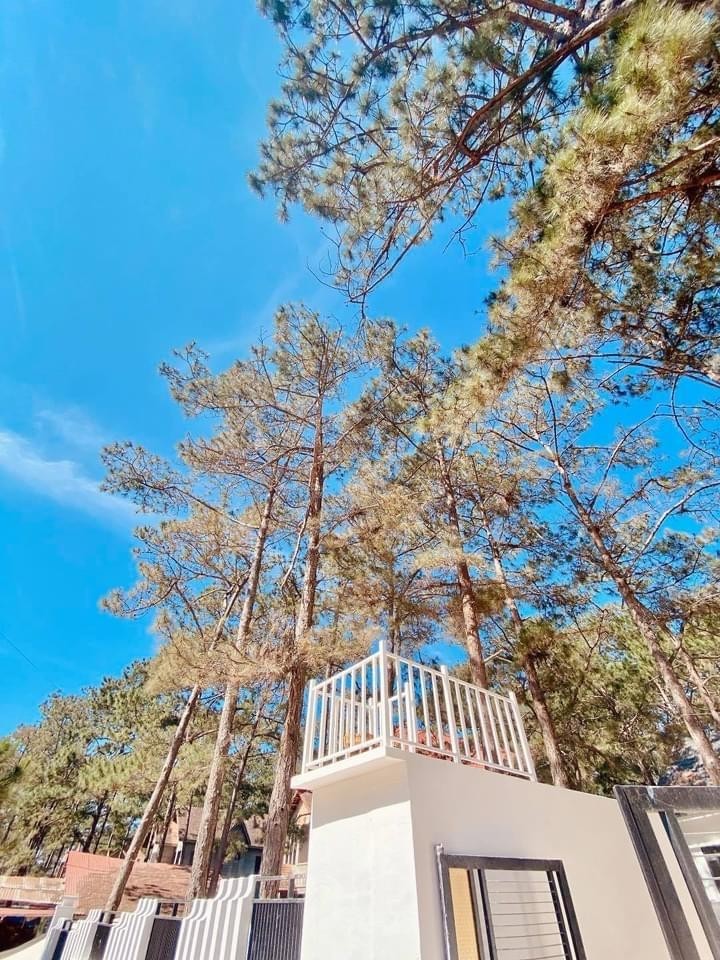 Cộng đồng nhà đầu tư khởi nghiệp “hiến kế” phát triển du lịch Măng Đen ảnh 3