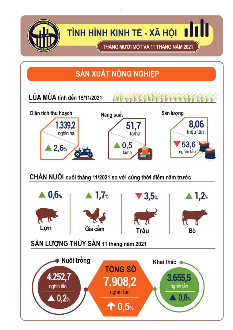 [Infographic] Tình hình kinh tế xã hội tháng 11/2021 ảnh 1