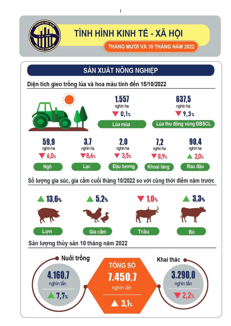 Infographic tình hình kinh tế-xã hội tháng 10 và 10 tháng năm 2022 ảnh 1
