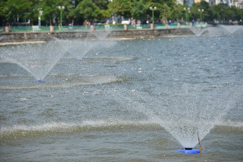 Bộ Công an vào cuộc vụ cá chết hồ Tây ảnh 1