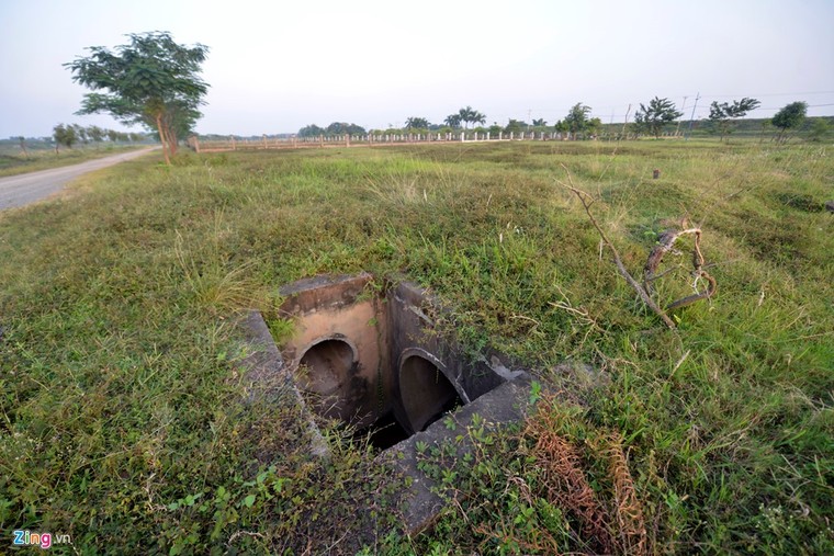 Khu sinh thái nghỉ dưỡng thành nơi chăn bò ảnh 7