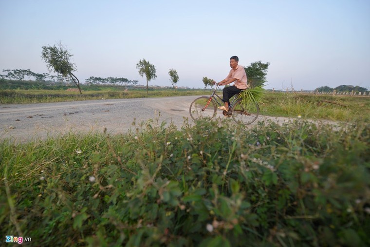 Khu sinh thái nghỉ dưỡng thành nơi chăn bò ảnh 8