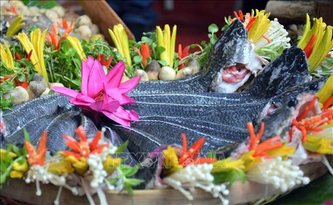 2 kỷ lục Việt Nam được xác lập trong sự kiện 'Hương rừng U Minh' ảnh 3