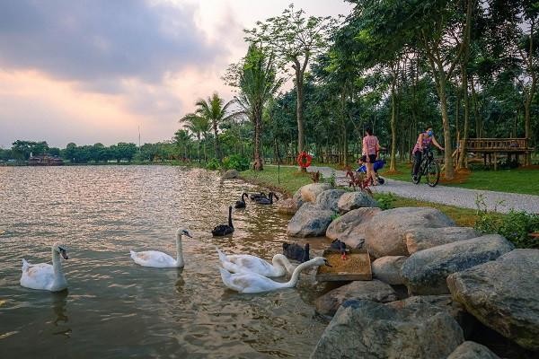 Những mảng rừng xanh vun đắp tâm hồn tại KĐT Ecopark ảnh 4