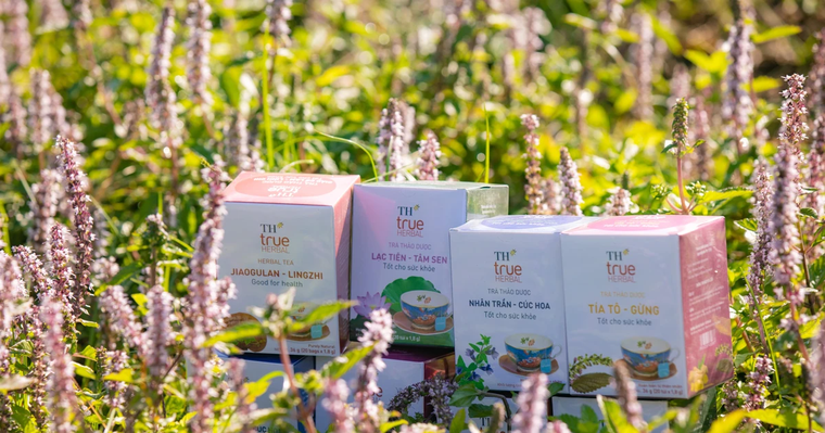 Có một con đường mà Tập đoàn TH đã chọn ảnh 1